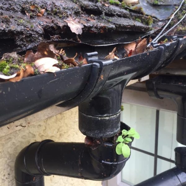 Findings in gutter and downpipe