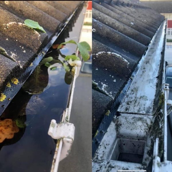 Gutter Clearing | Hartley, Longfield, Meopham, Shorne, Southfleet